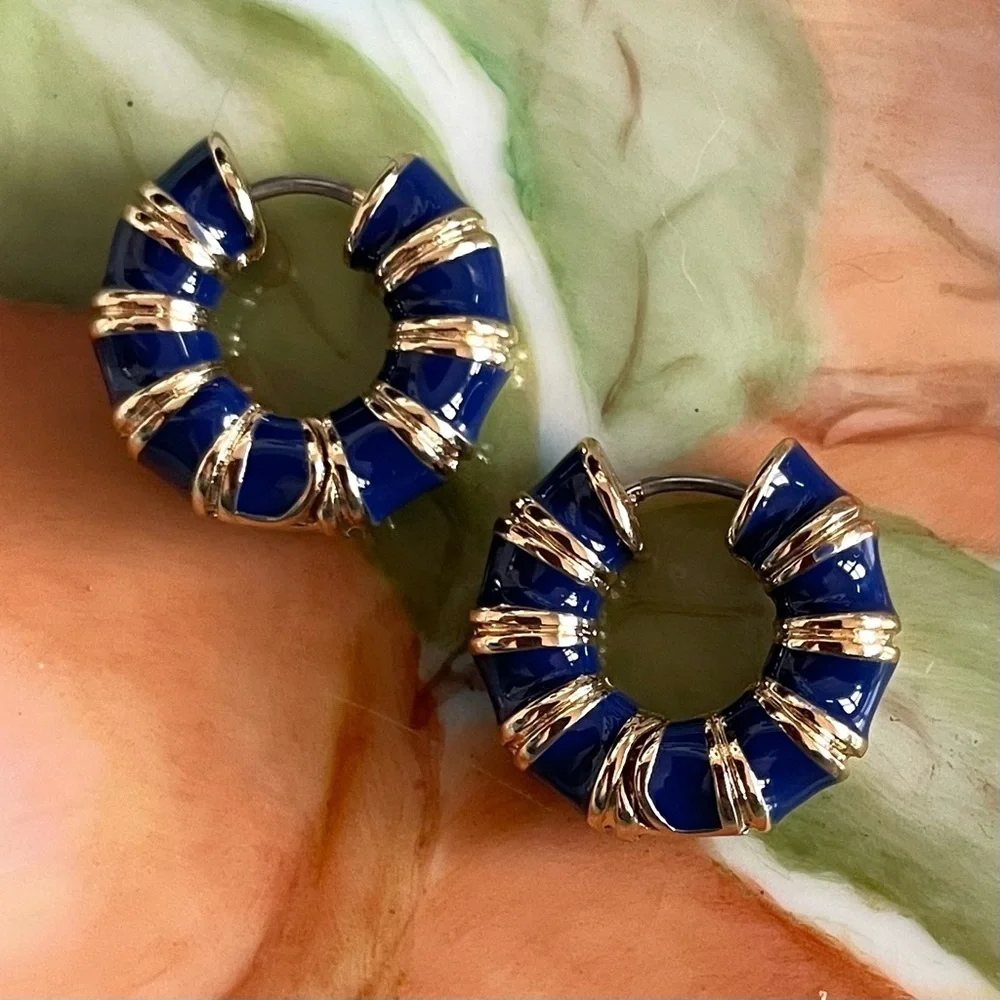 ✨Anthropologie Collins Earrings